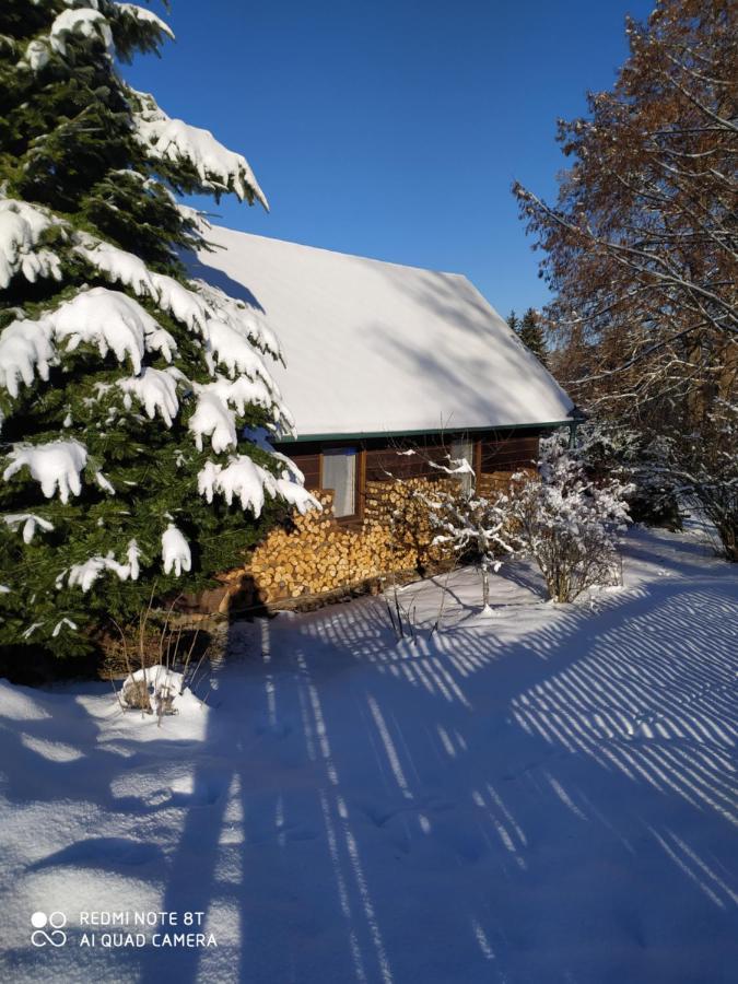 Chata Dvorecna Villa Loucovice ภายนอก รูปภาพ