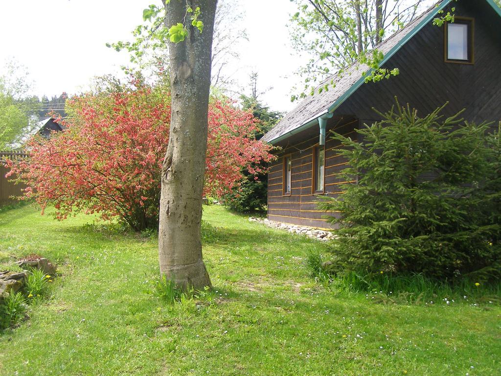 Chata Dvorecna Villa Loucovice ภายนอก รูปภาพ