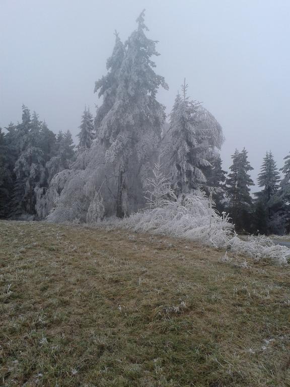 Chata Dvorecna Villa Loucovice ภายนอก รูปภาพ