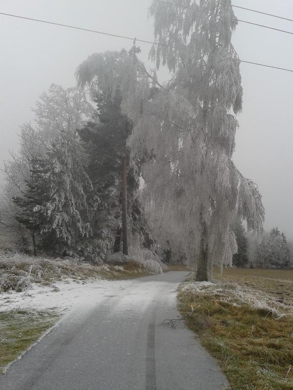 Chata Dvorecna Villa Loucovice ภายนอก รูปภาพ