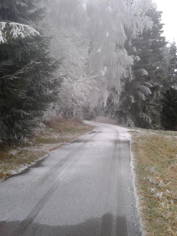 Chata Dvorecna Villa Loucovice ภายนอก รูปภาพ